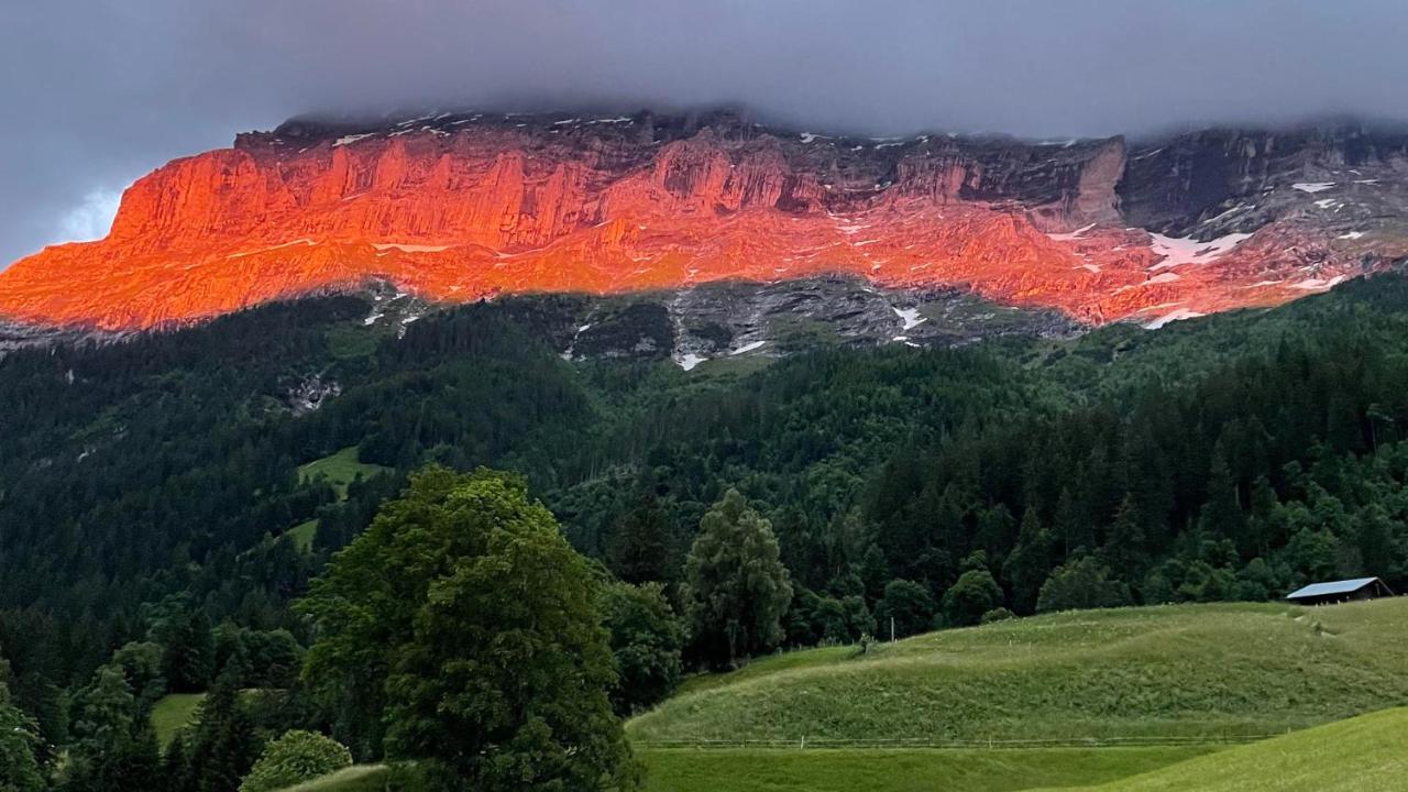 Romantisches Plaetzchen In Der Natur グリンデルヴァルト エクステリア 写真