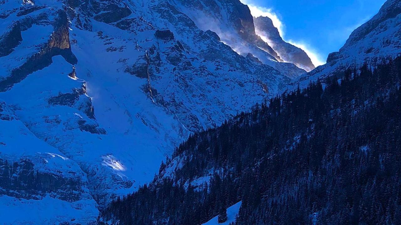 Romantisches Plaetzchen In Der Natur グリンデルヴァルト エクステリア 写真